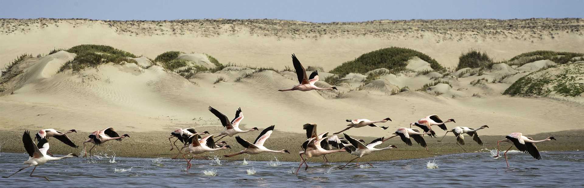 Swakopmund & Walvis Bay